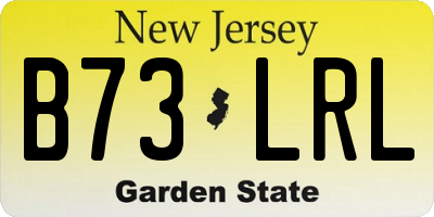 NJ license plate B73LRL