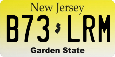 NJ license plate B73LRM