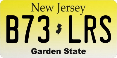 NJ license plate B73LRS