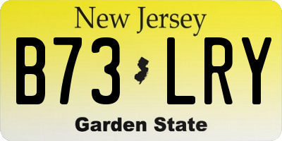 NJ license plate B73LRY