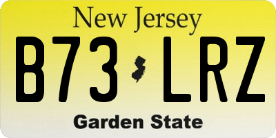 NJ license plate B73LRZ