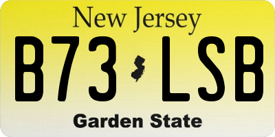 NJ license plate B73LSB