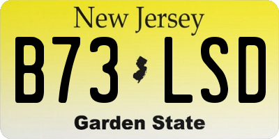 NJ license plate B73LSD