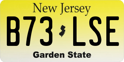 NJ license plate B73LSE