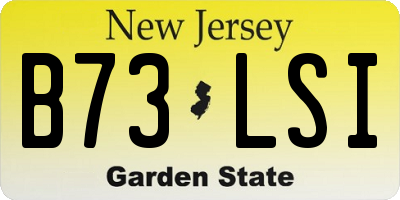 NJ license plate B73LSI