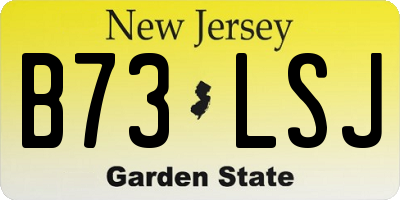 NJ license plate B73LSJ