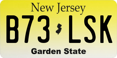NJ license plate B73LSK