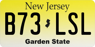 NJ license plate B73LSL