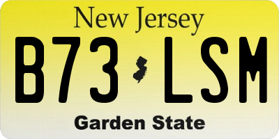 NJ license plate B73LSM