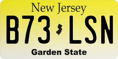 NJ license plate B73LSN