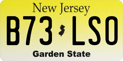 NJ license plate B73LSO
