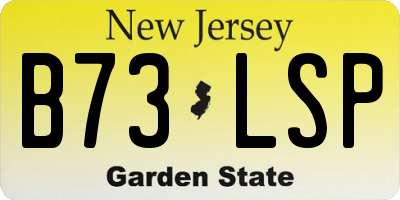 NJ license plate B73LSP