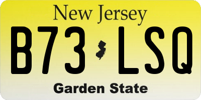 NJ license plate B73LSQ