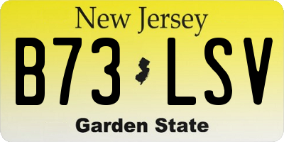 NJ license plate B73LSV