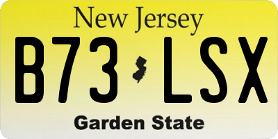 NJ license plate B73LSX
