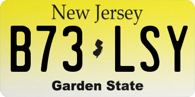 NJ license plate B73LSY