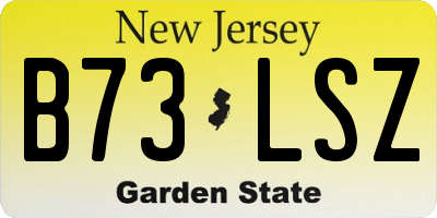 NJ license plate B73LSZ