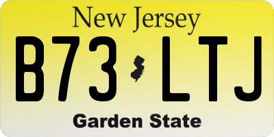 NJ license plate B73LTJ