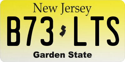 NJ license plate B73LTS