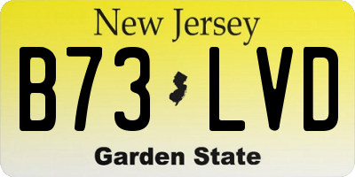 NJ license plate B73LVD