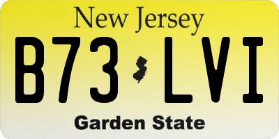 NJ license plate B73LVI