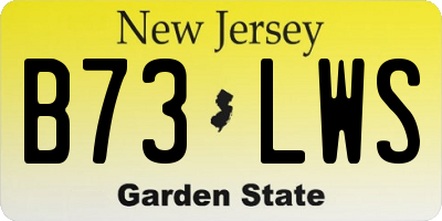 NJ license plate B73LWS