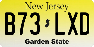 NJ license plate B73LXD