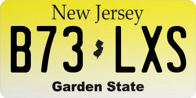 NJ license plate B73LXS