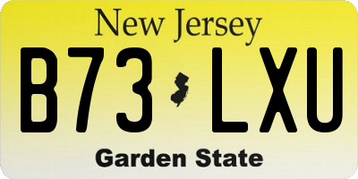NJ license plate B73LXU