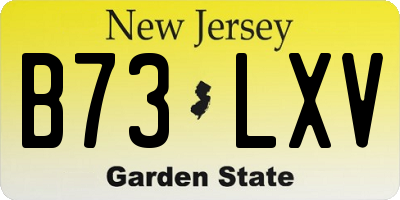 NJ license plate B73LXV