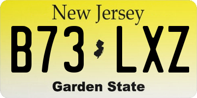 NJ license plate B73LXZ