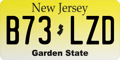 NJ license plate B73LZD