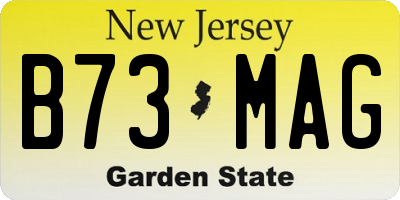 NJ license plate B73MAG
