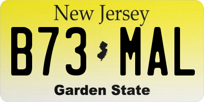 NJ license plate B73MAL