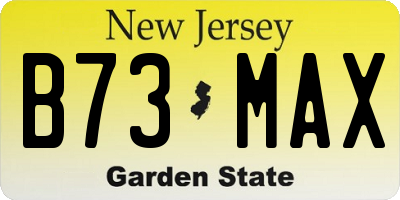 NJ license plate B73MAX