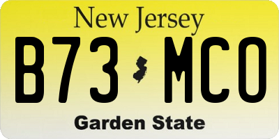 NJ license plate B73MCO