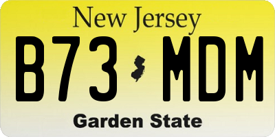 NJ license plate B73MDM