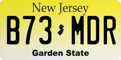 NJ license plate B73MDR