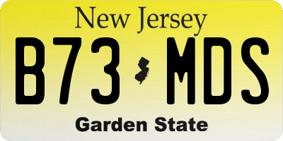 NJ license plate B73MDS