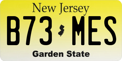 NJ license plate B73MES