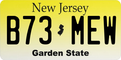 NJ license plate B73MEW