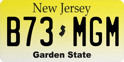 NJ license plate B73MGM