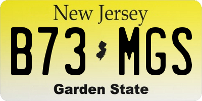 NJ license plate B73MGS
