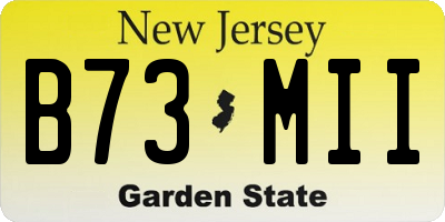NJ license plate B73MII
