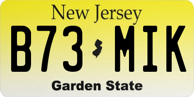 NJ license plate B73MIK