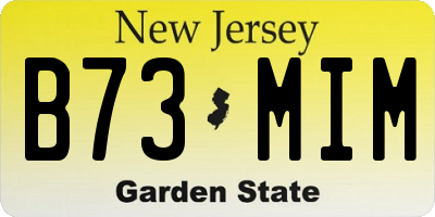 NJ license plate B73MIM