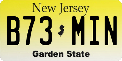 NJ license plate B73MIN