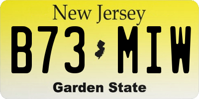 NJ license plate B73MIW