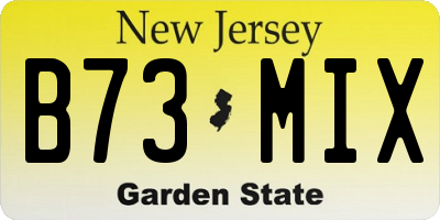NJ license plate B73MIX