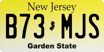 NJ license plate B73MJS